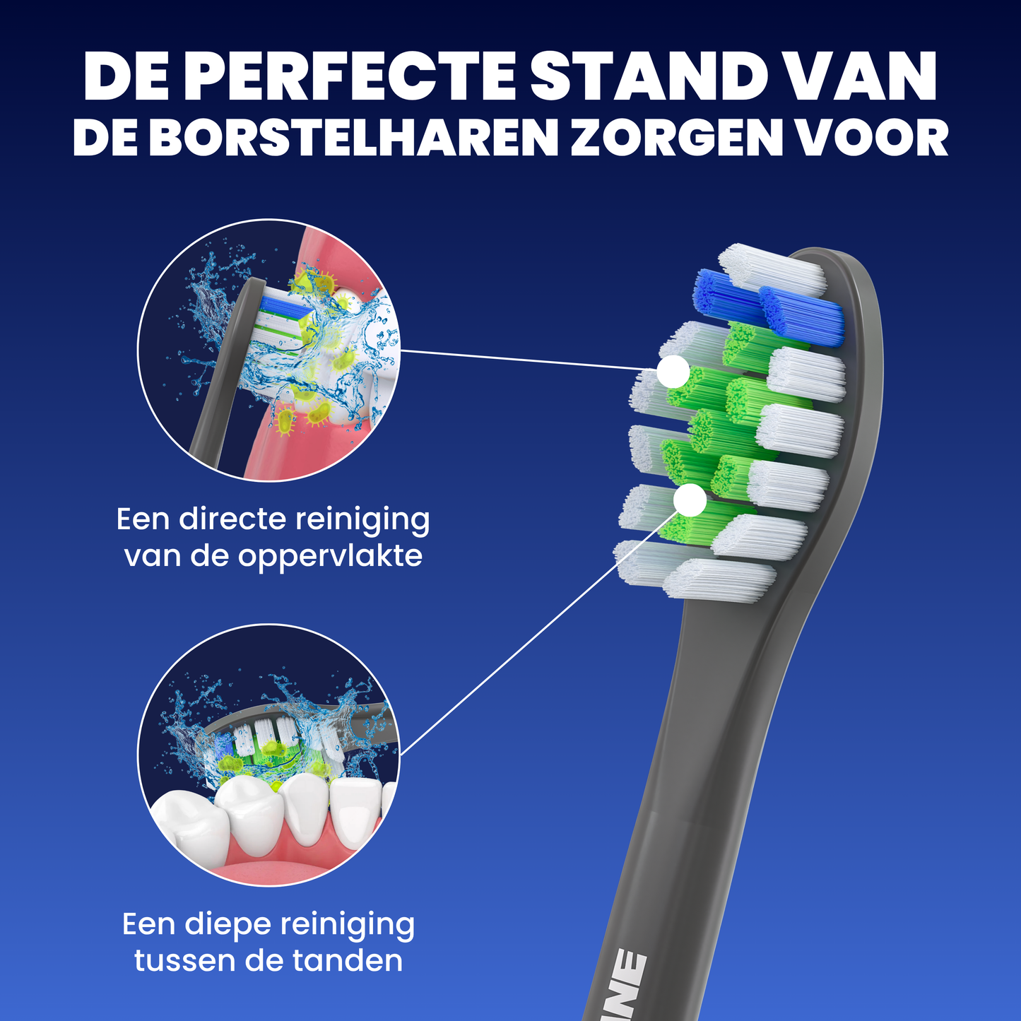 Opzetborstels geschikt voor Philips Sonicare - Normale Borstelharen - Zwart - 24 Stuks