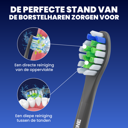 Opzetborstels geschikt voor Philips Sonicare - Normale Borstelharen - Zwart - 24 Stuks