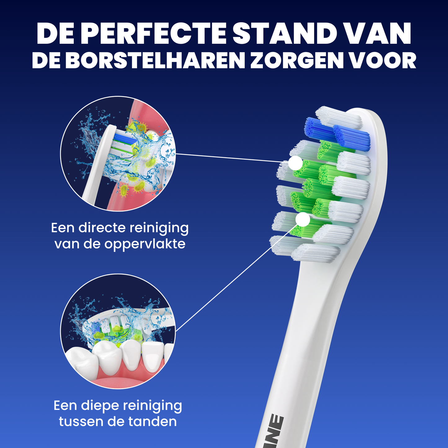Opzetborstels geschikt voor Philips Sonicare - Normale Borstelharen - Wit - 32 Stuks